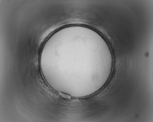 X0000116321167200912221353