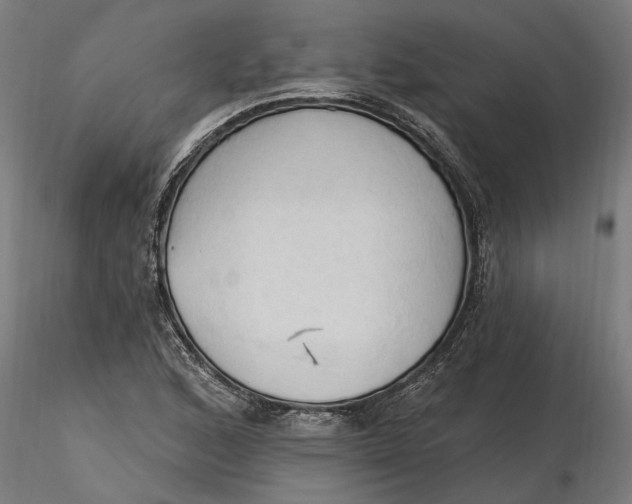 X0000116321168200912221353