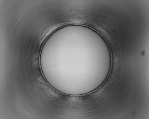 X0000116321170200912221353