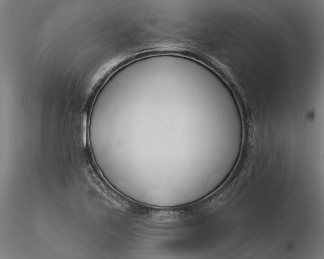 X0000116321171200912221353