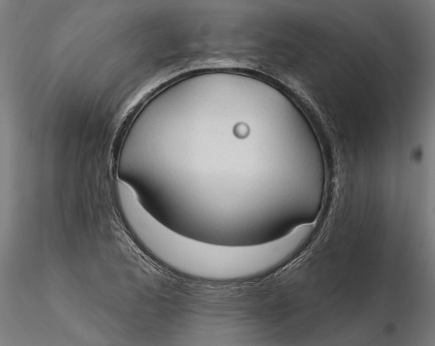 X0000116321173200912221353