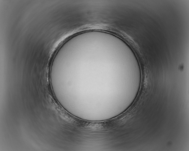 X0000116321174200912221353