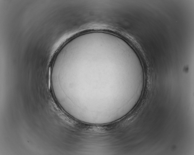 X0000116321175200912221353