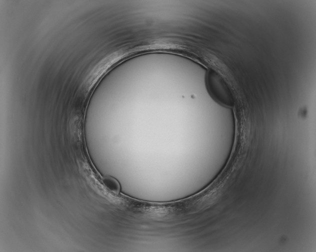 X0000116321177200912221352