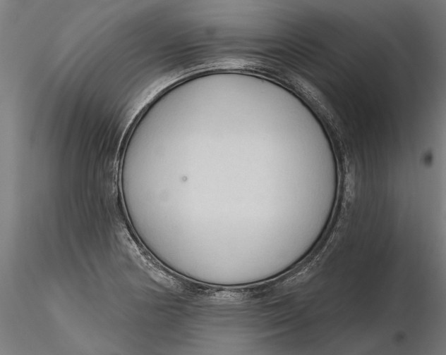 X0000116321178200912221352