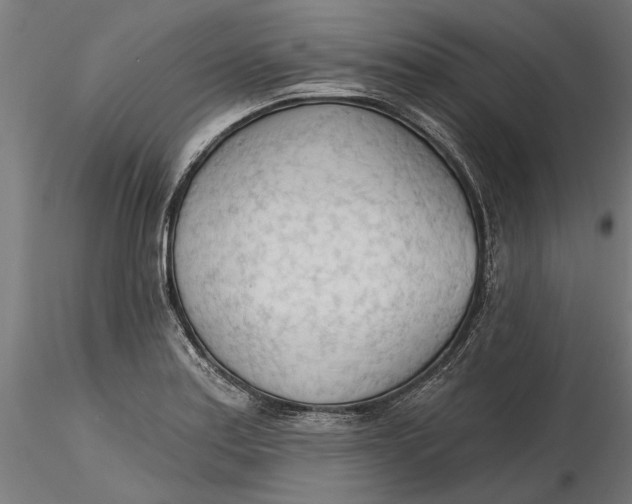 X0000116321179200912221352