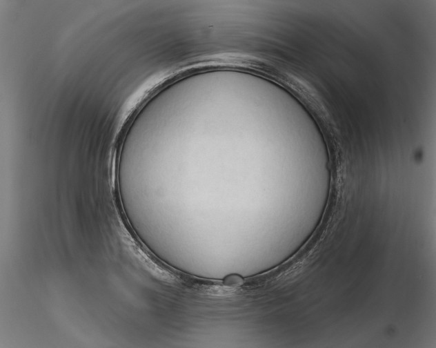 X0000116321180200912221352