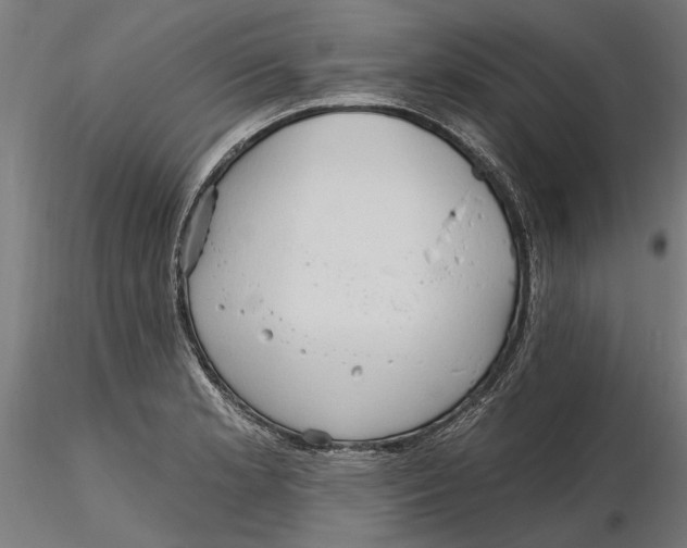 X0000116321181200912221352