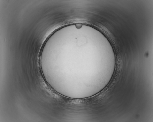 X0000116321182200912221352