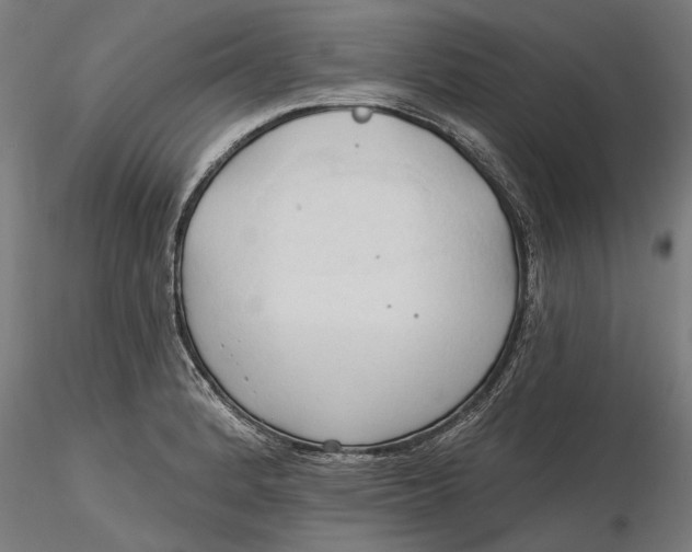 X0000116321184200912221352