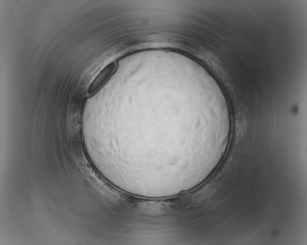 X0000116321185200912221352