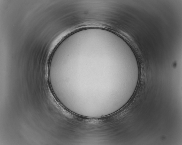 X0000116321188200912221352