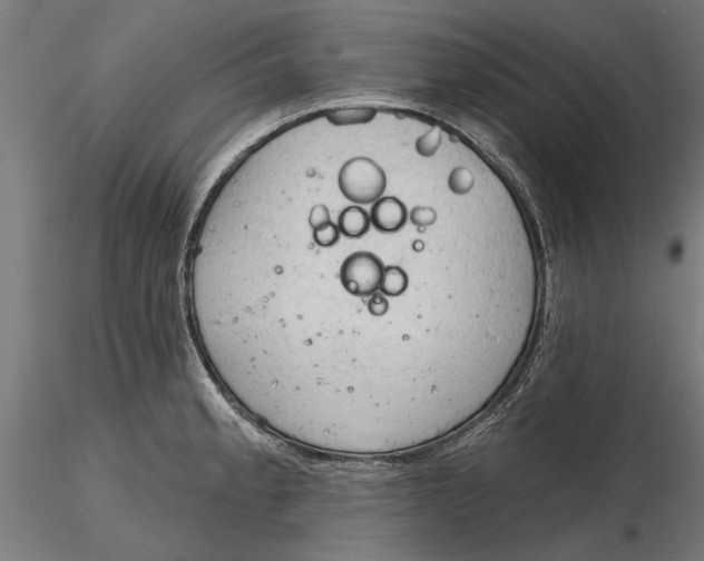 X0000116321189200912221352