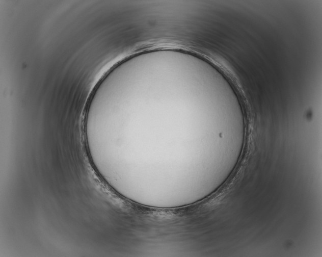 X0000116321190200912221352