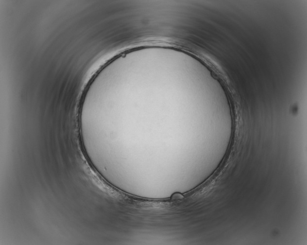 X0000116321192200912221352