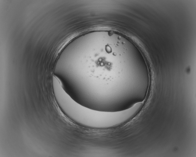 X0000116321193200912221352