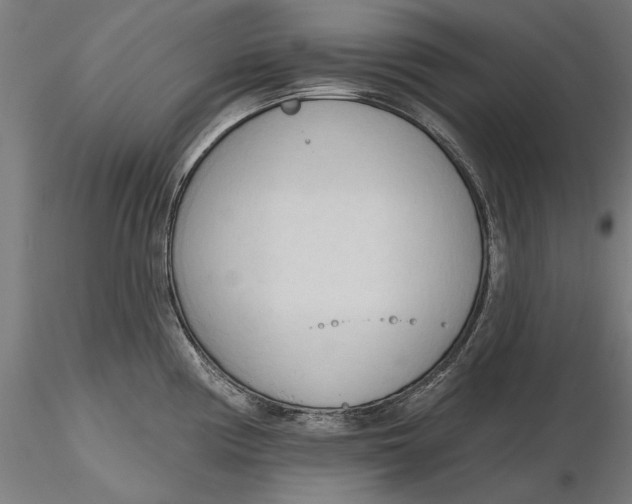 X0000116321194200912221352