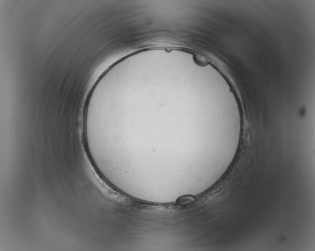 X0000116321195200912221352