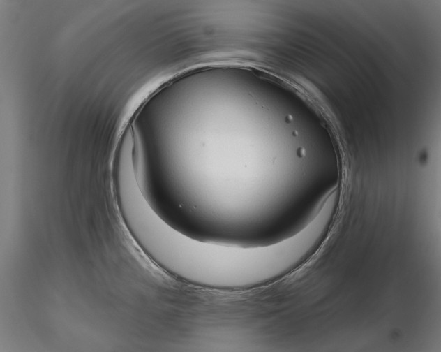 X0000116321196200912221352