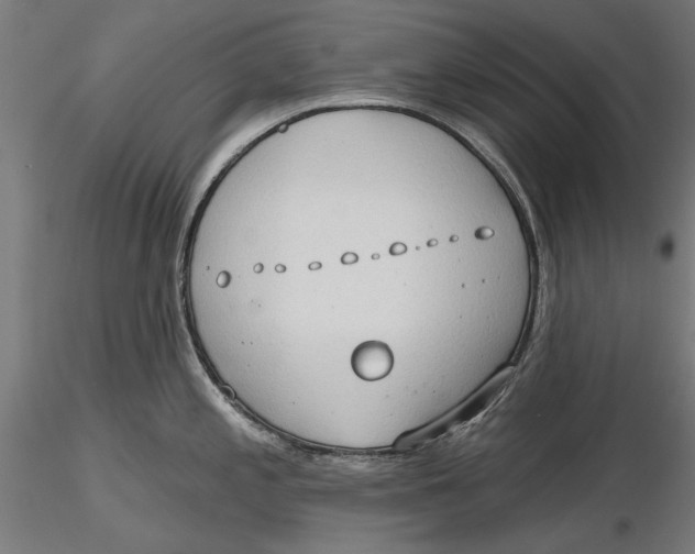 X0000116321197200912221352