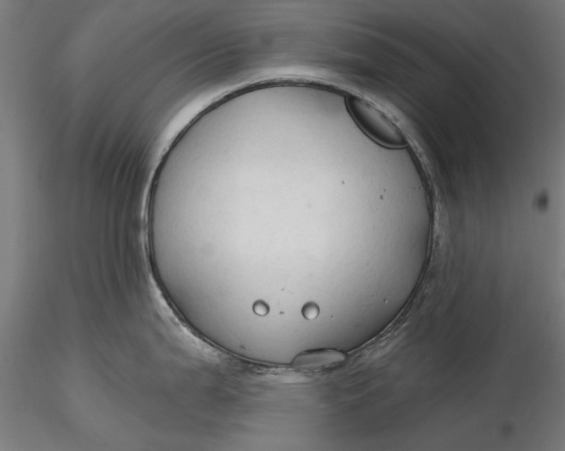 X0000116321199200912221352