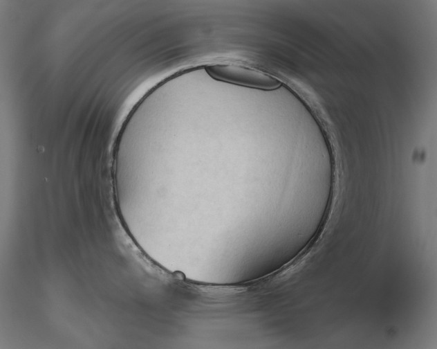 X0000116321200200912221352