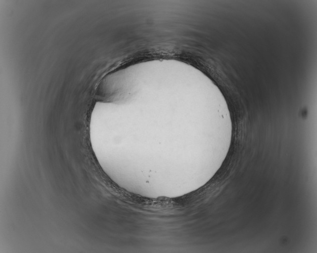 X0000116321201200912221352