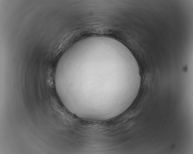 X0000116321202200912221352