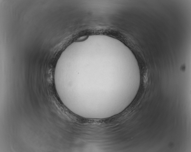 X0000116321204200912221352