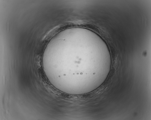 X0000116321205200912221352