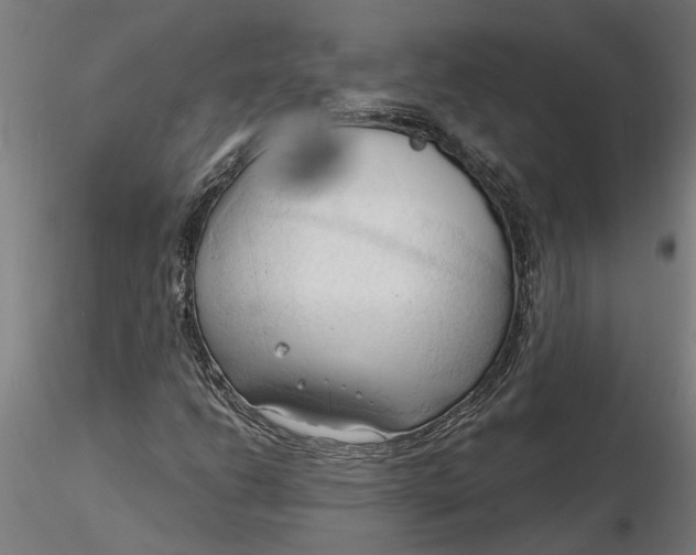 X0000116321206200912221352