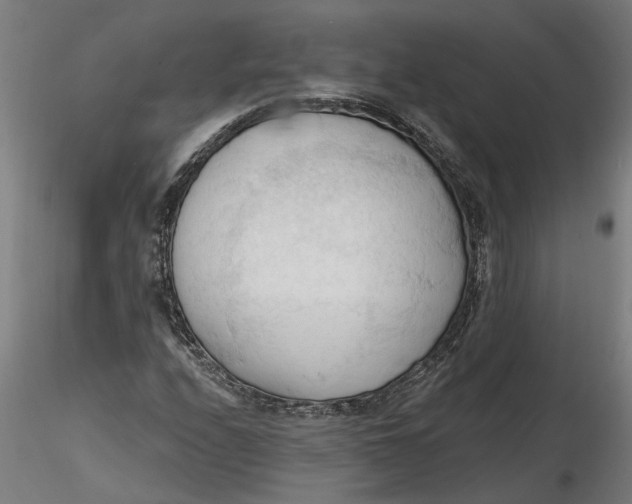 X0000116321208200912221352