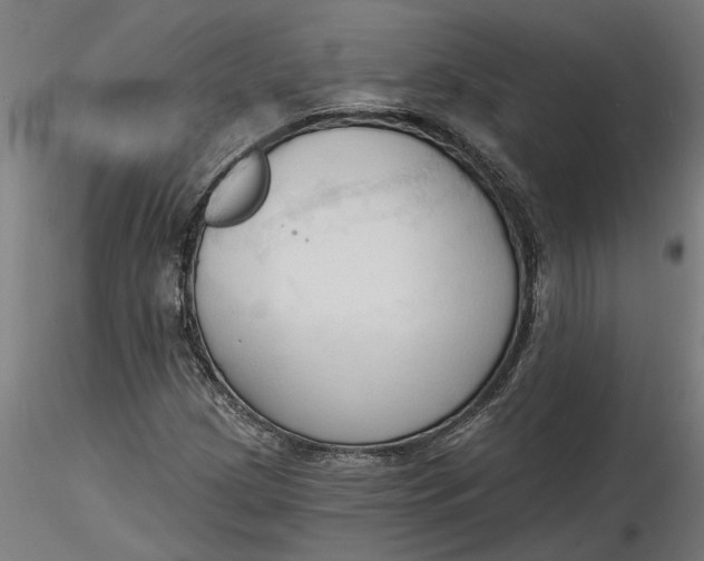 X0000116321209200912221352