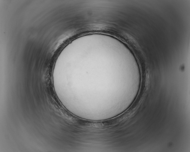 X0000116321210200912221352