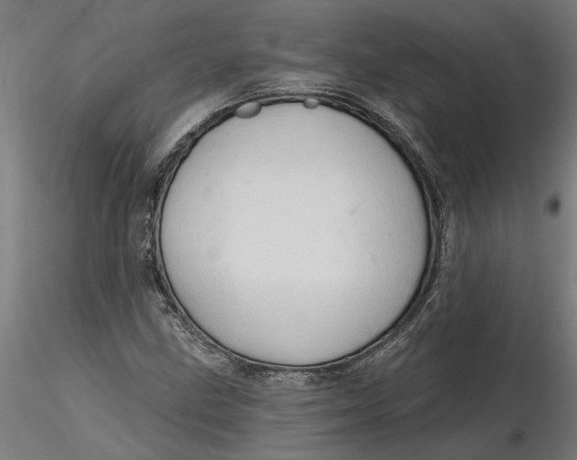 X0000116321211200912221352