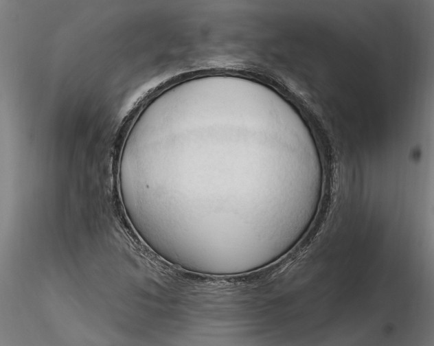 X0000116321214200912221352