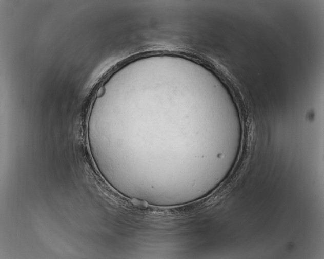 X0000116321215200912221352