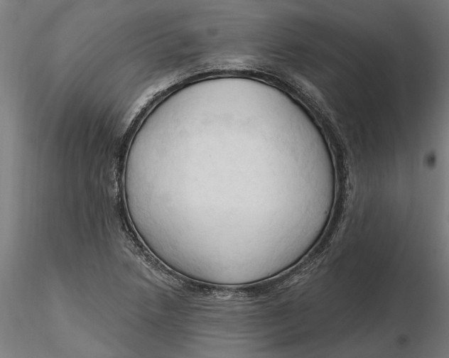 X0000116321218200912221352