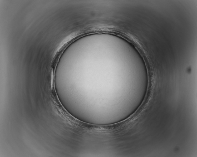 X0000116321219200912221352