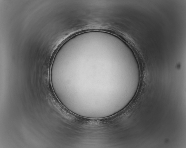 X0000116321220200912221352