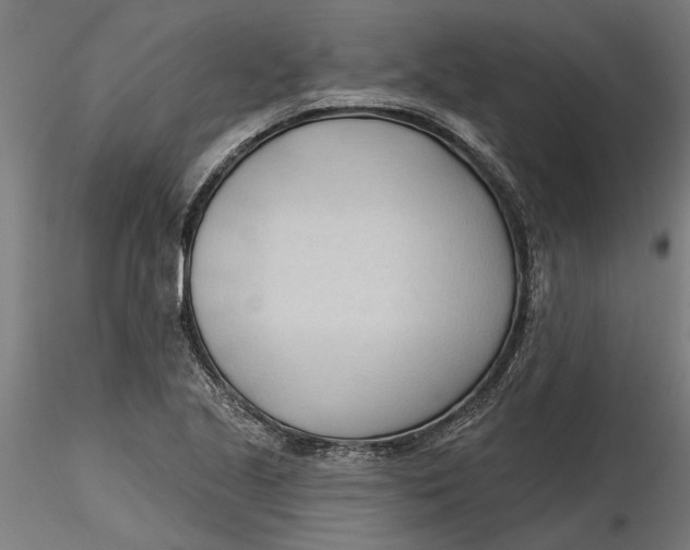 X0000116321221200912221352