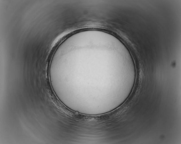 X0000116321222200912221352