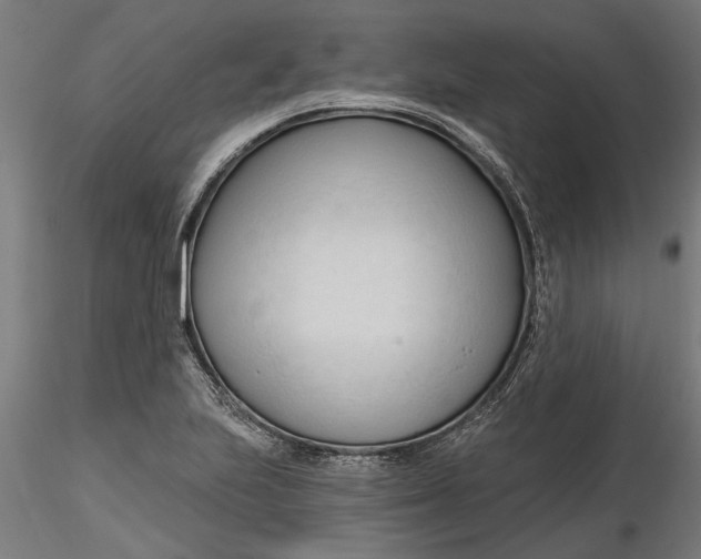 X0000116321223200912221352