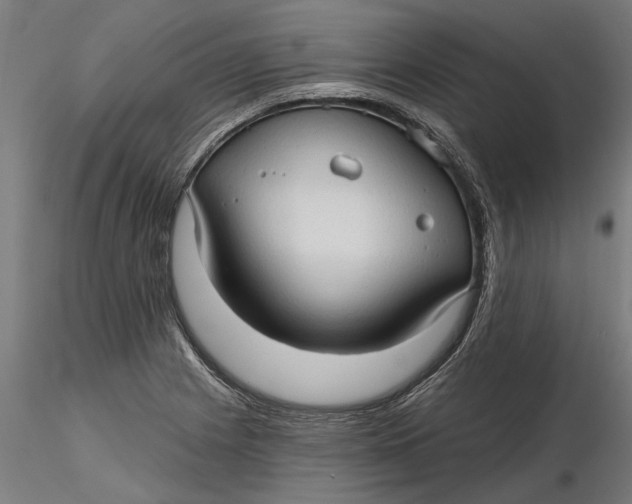 X0000116321225200912221352