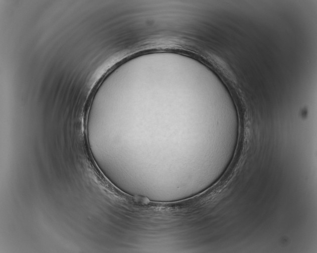 X0000116321226200912221352