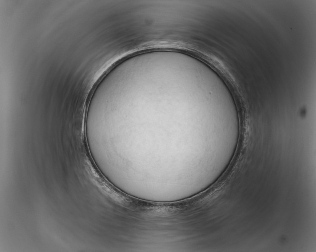 X0000116321228200912221352