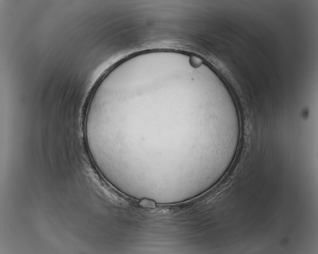 X0000116321230200912221352