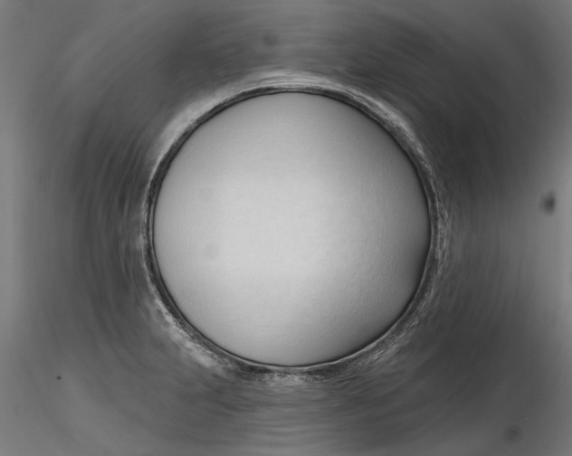 X0000116321231200912221352