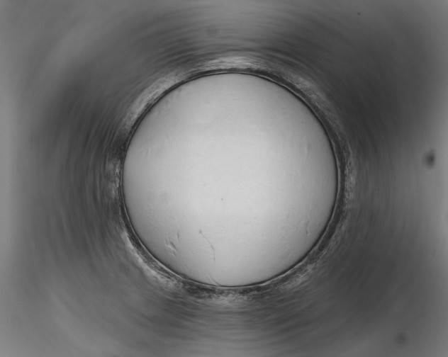 X0000116321233200912221352