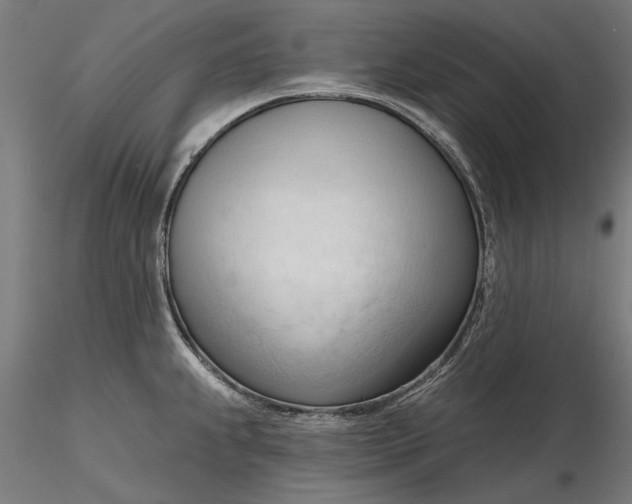 X0000116321239200912221352